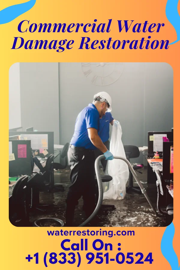 Commercial Water Damage Restoration in Leo-Cedarville, IN