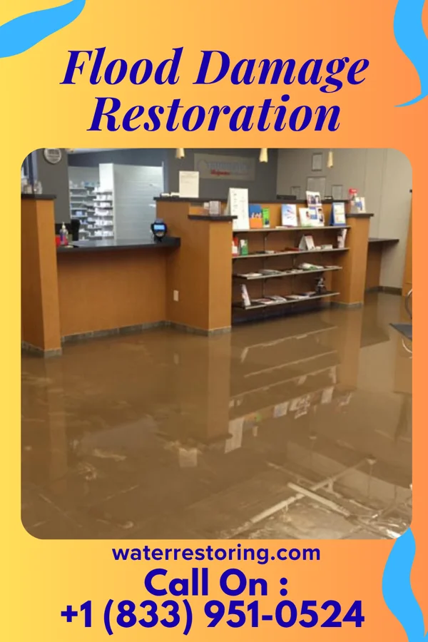 Flood Damage Restoration in Leo-Cedarville, IN