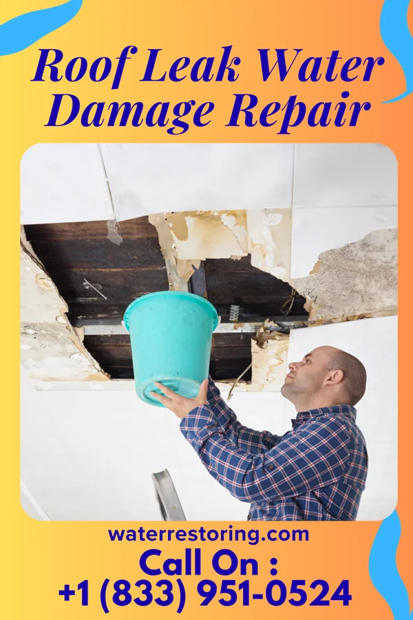 Roof Leak Water Damage Repair in Leo-Cedarville, IN