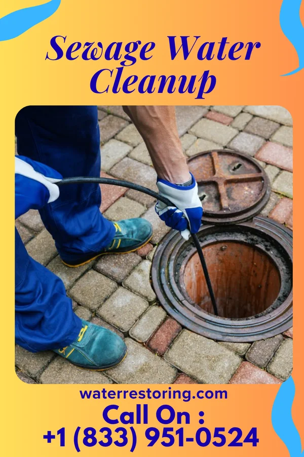 Sewage Water Cleanup in Leo-Cedarville, IN