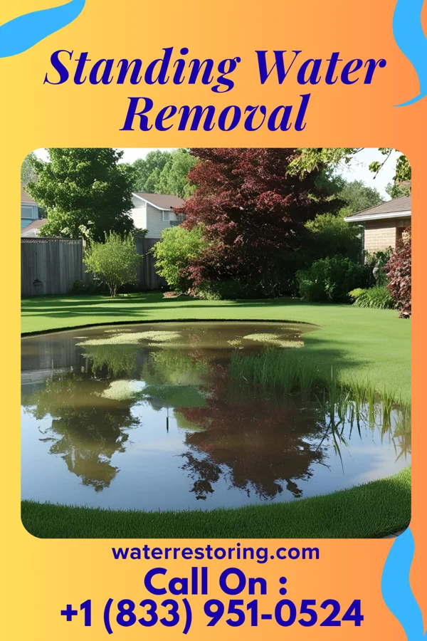 Standing Water Removal in Leo-Cedarville, IN